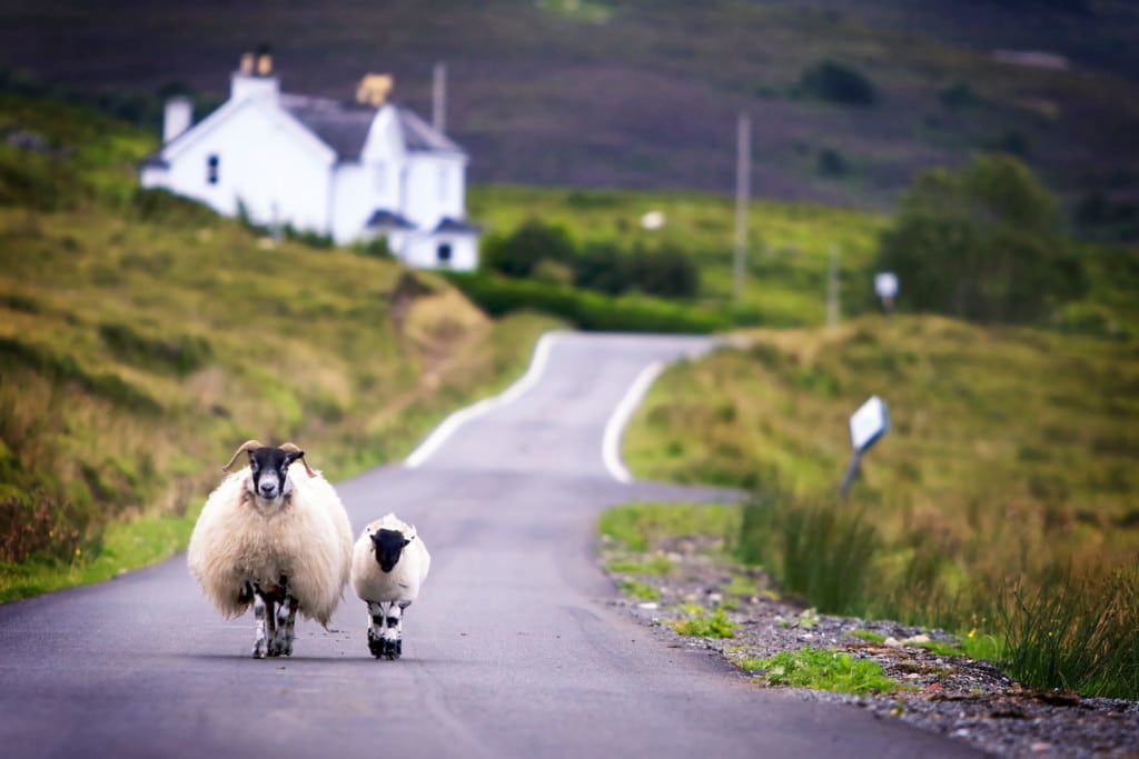 Oft führen schmale Straßen, die Single Track Roads, in Schottland ans ersehnte Ziel