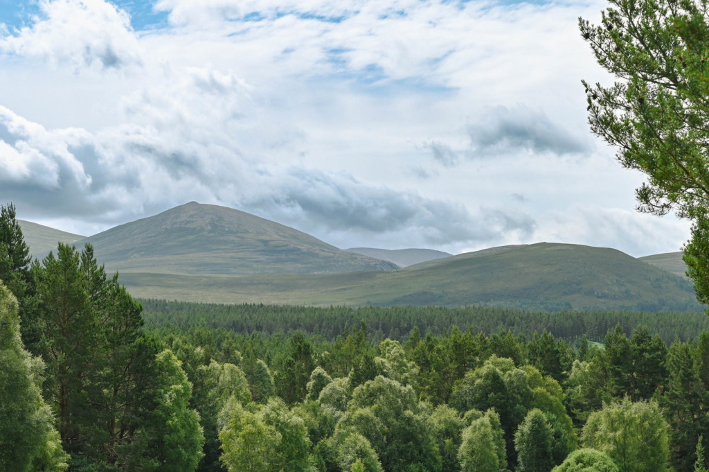 Tag 10: Cairngorm Nationalpark & Reindeer Center - cairngorms nationalpark 3 - 1