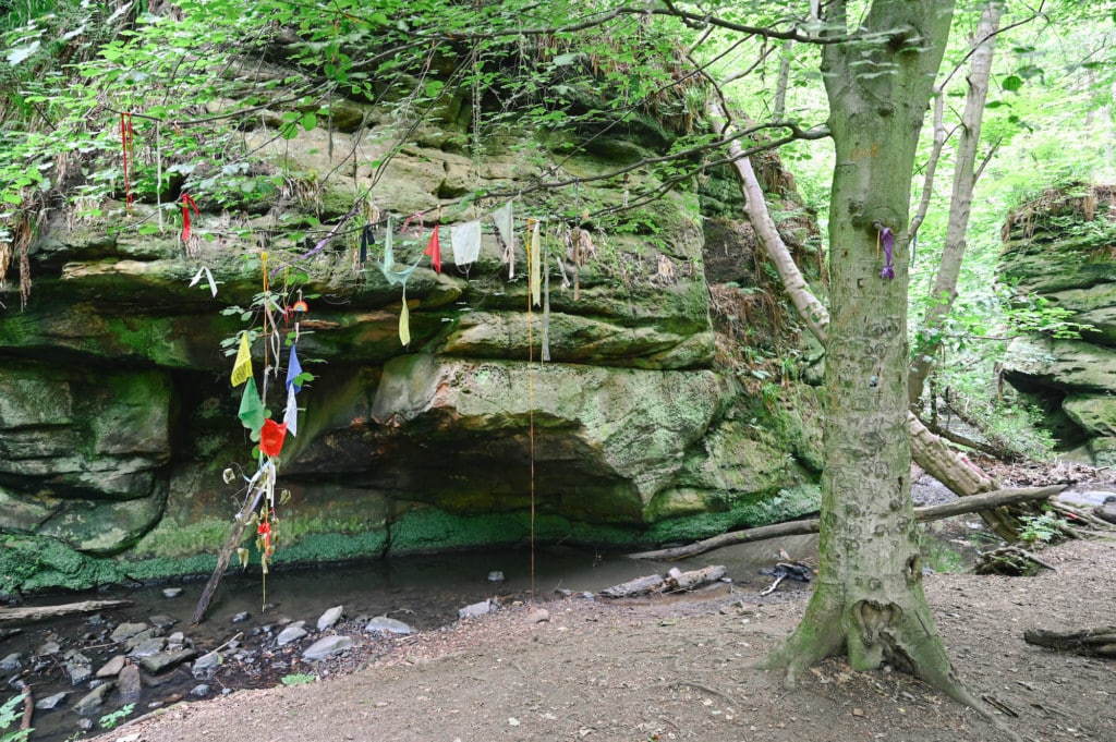 Tag 27: St. Andrews - Dunino Den - dunino den 07 - 31