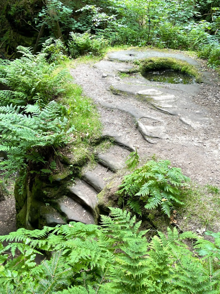 Tag 27: St. Andrews - Dunino Den - dunino den - 33