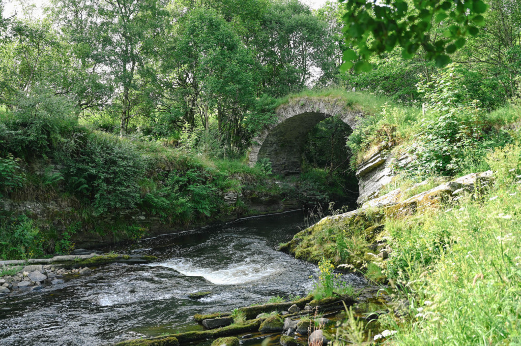 Tag 10: Cairngorm Nationalpark & Reindeer Center - packhorse bridge 03 - 3
