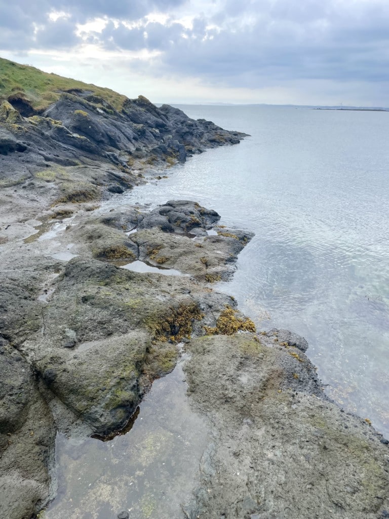 Tag 27: St. Andrews - Dunino Den - shell bay 1 - 36