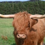 NC500 Tag 3 – Beauly, Nairn, Tomatin Distillery