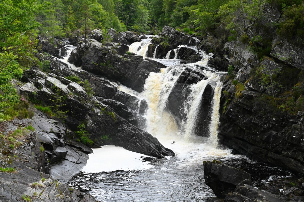 Rogie Falls mit springendem Lachs