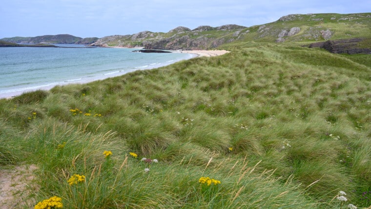 NC500 Tag 5 - Strände, Smoo Cave & Thurso - oldshoremorebeach - 1