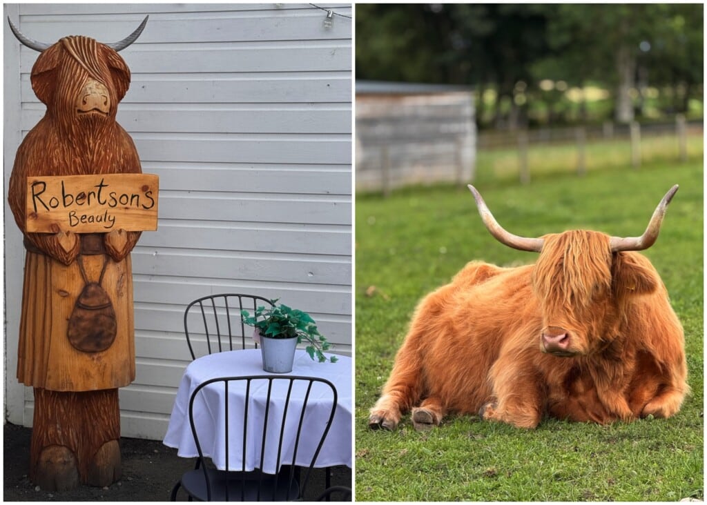NC500 Tag 3 - Beauly, Nairn, Tomatin Distillery - robertson farm - 2