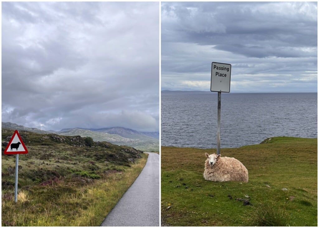 Hinweisschilder entlang der NC500