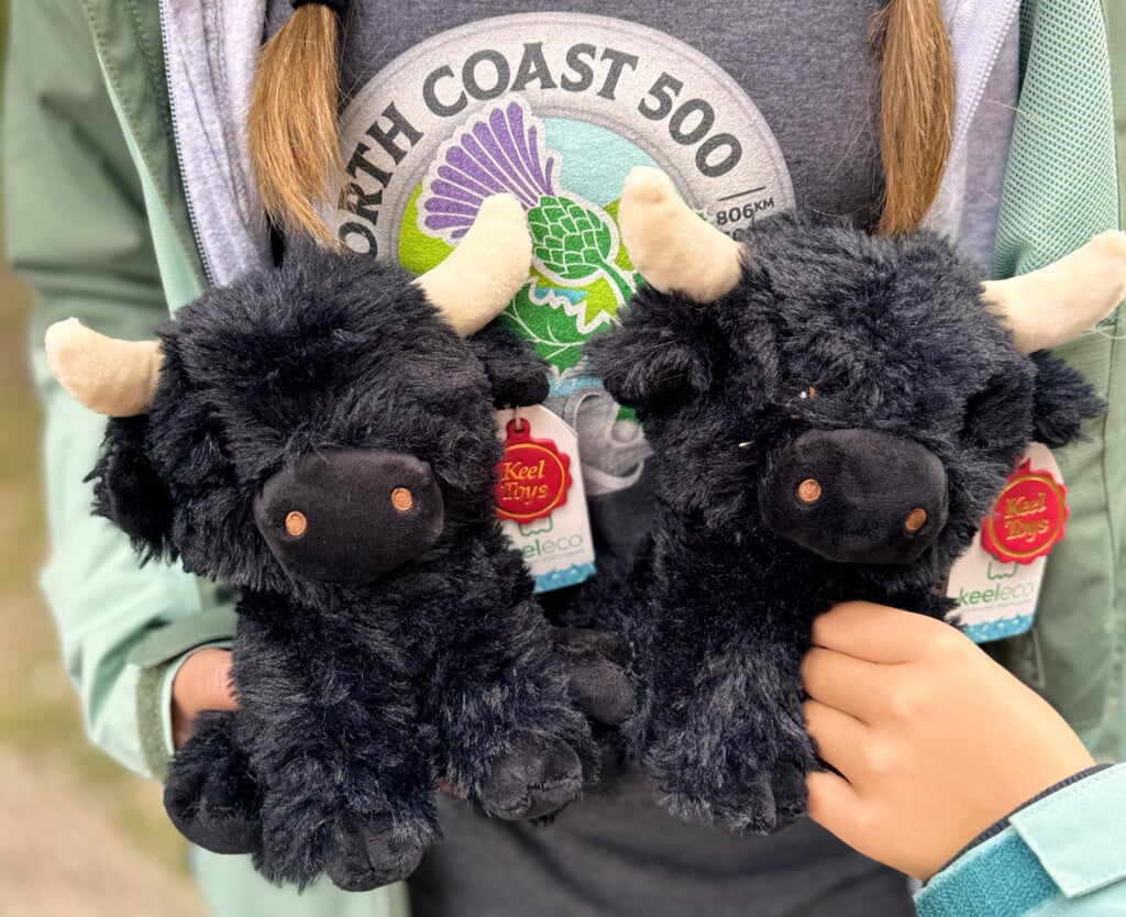 Neuer Familienzuwachs für unsere Sammlung